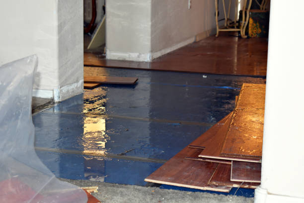 Professional Water Damage technician working in Sherborn, MA