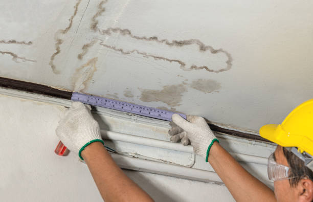 Reliable Water Damage contractor in Sherborn, MA by Water Damage Irwin